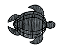 Uboatnet:Archiv:Typ VII:U_203