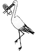 ohne