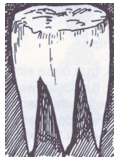 Uboatnet:Archiv:Wappen_U31-U60 - uboatnet.de