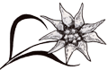 U124