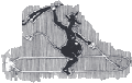 U19
